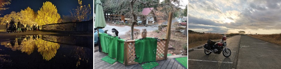 Enjoying the Autumn and Winter