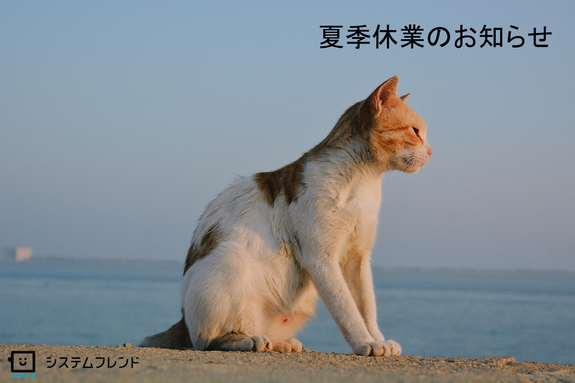 夏季休業のお知らせ_2026